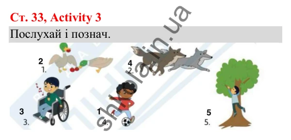 Відповідь до завдання Activity 3, сторінка 33 (Module 3. Out and about) - ГДЗ Англійська мова 3 клас Мітчелл 2025