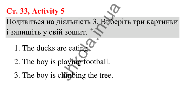 Відповідь до завдання Activity 5, сторінка 33 (Module 3. Out and about) - ГДЗ Англійська мова 3 клас Мітчелл 2025