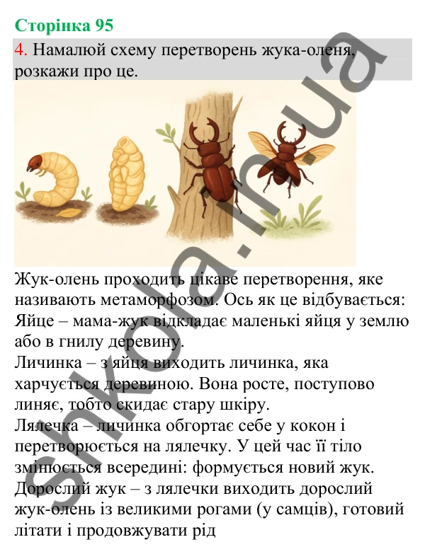 Відповідь до завдання 4, сторінка 95 - ГДЗ Українська мова та читання 3 клас Остапенко 2025 частина 1