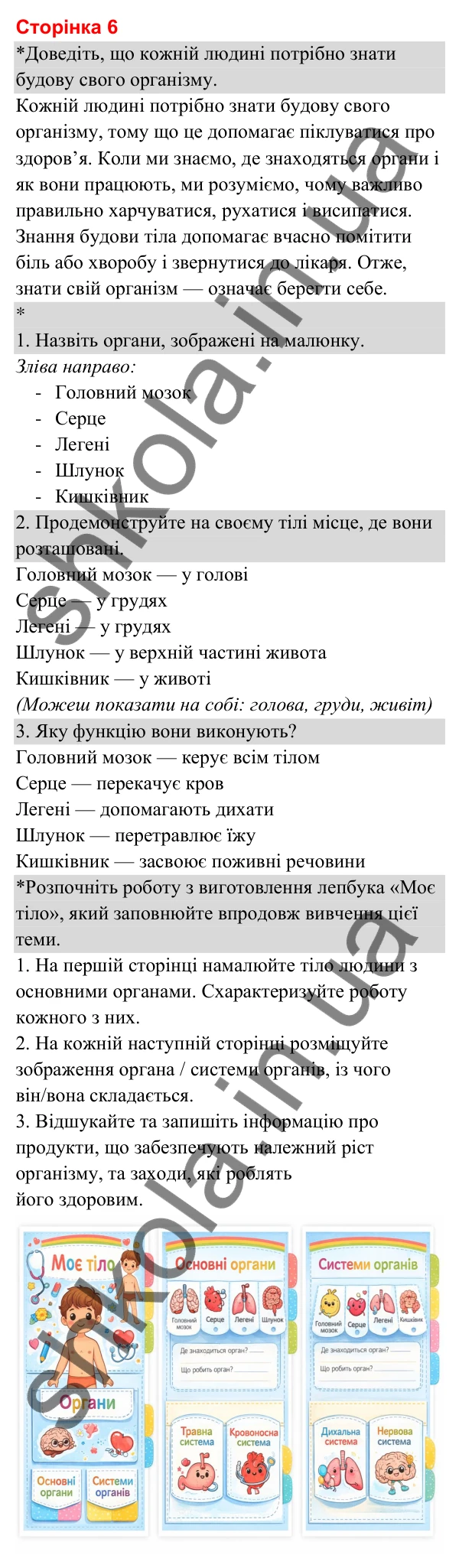 Відповіді до сторінки 6 - ГДЗ Я досліджую світ 3 клас Гільберг 2025 частина 2