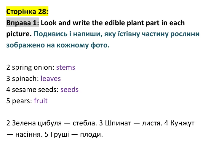 p28-ex1 Відповідь до вправи 1, сторінка 28 - ГДЗ Англійська мова 4 клас Пухта 2026 робочий зошит