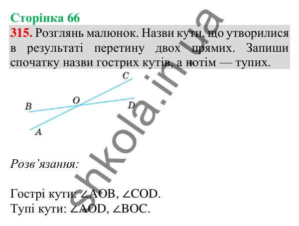 Відповідь до завдання № 315, сторінка 66 - ГДЗ Математика 4 клас Листопад 2026 частина 2