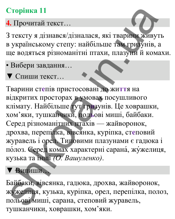 Сторінка 11, завдання 4 Відповідь до завдання 4, сторінка 11 - ГДЗ Українська мова та читання 4 клас Вашуленко 2026 частина 1