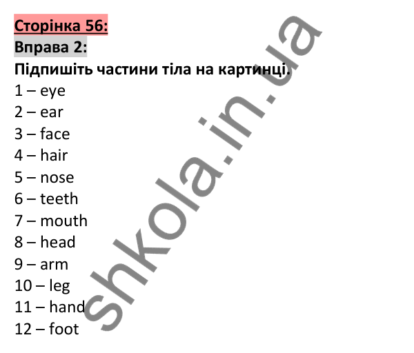 Відповідь до вправи 2, сторінка 56 - ГДЗ Англійська мова 5 клас Коста 2022