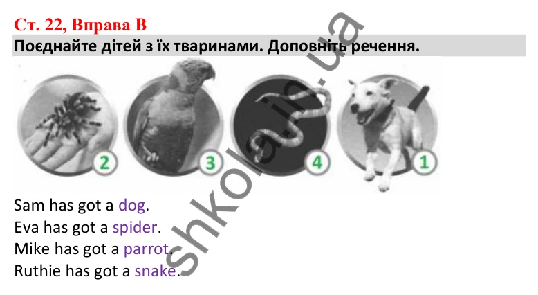 Відповідь до вправи B, сторінка 22 - ГДЗ Робочий зошит Англійська мова 5 клас Мітчелл 2022