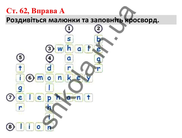 Відповідь до вправи A, сторінка 62 - ГДЗ Робочий зошит Англійська мова 5 клас Мітчелл 2022