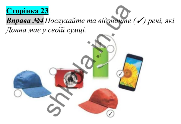 Відповідь до завдання Вправа №4, сторінка 23 - ГДЗ Англійська мова 5 клас Мітчелл