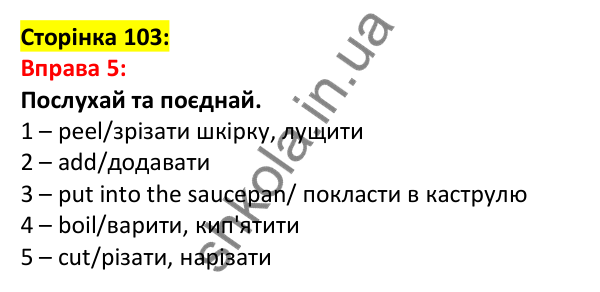 Відповідь до вправи 5, сторінка 103 - ГДЗ Англійська мова 5 клас Задорожна 2022