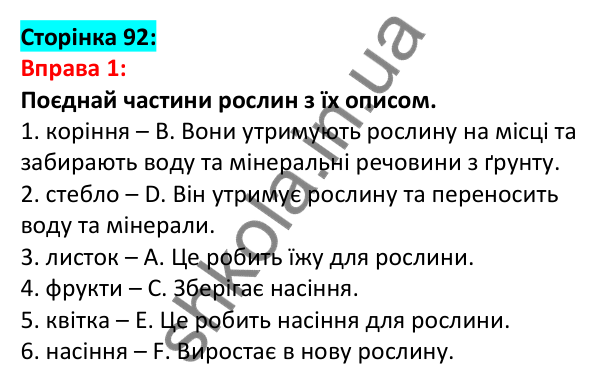 Відповідь до вправи 1, сторінка 92 - ГДЗ Англійська мова 5 клас Задорожна 2022