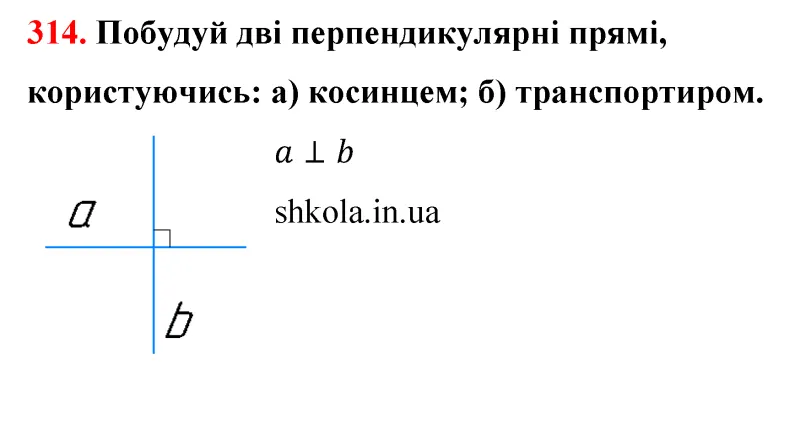Відповідь до завдання № 314 - ГДЗ Математика 5 клас Бевз 2022