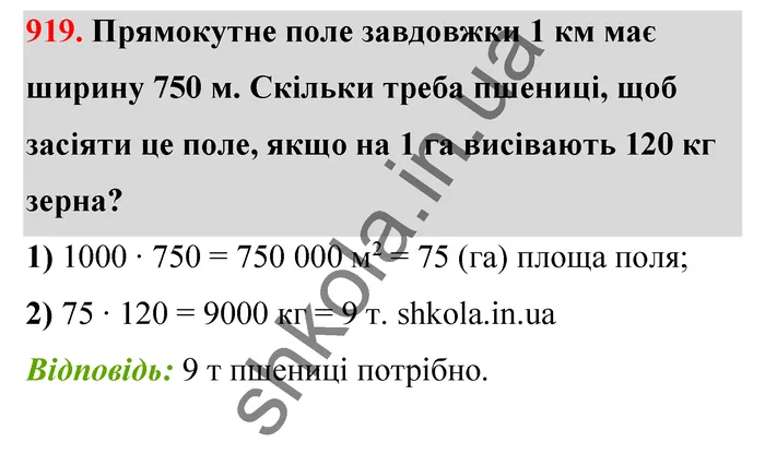 Відповідь до завдання № 919 - ГДЗ Математика 5 клас Бевз 2022
