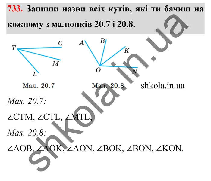 Відповідь до завдання № 733 - ГДЗ Математика 5 клас Істер 2022