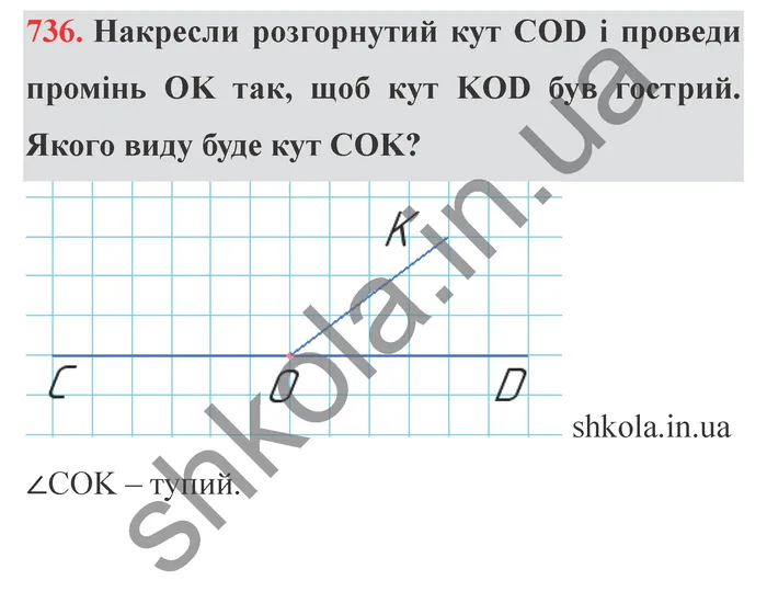 Відповідь до завдання № 736 - ГДЗ Математика 5 клас Істер 2022
