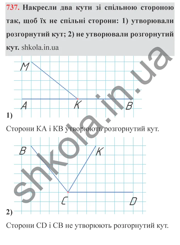 Відповідь до завдання № 737 - ГДЗ Математика 5 клас Істер 2022