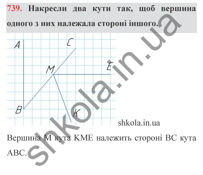 Відповідь до завдання № 739 - ГДЗ Математика 5 клас Істер 2022