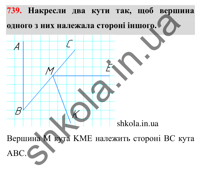 Завдання № 739 Відповідь до завдання № 739 - ГДЗ Математика 5 клас Істер 2022
