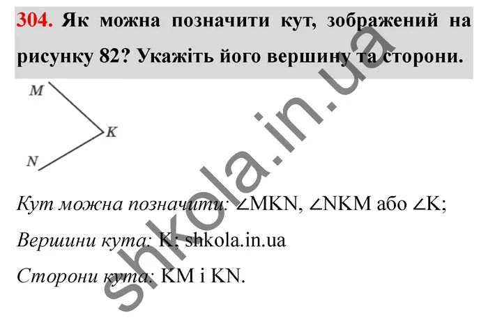 Відповідь до завдання № 304 - ГДЗ Математика 5 клас Мерзляк 2022