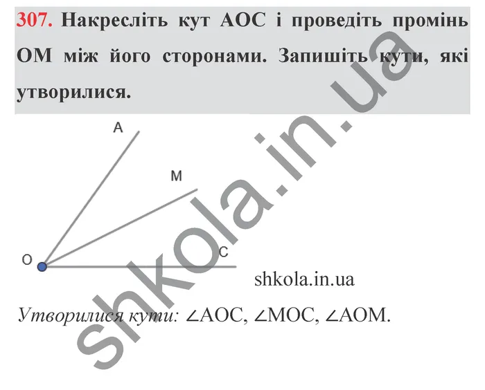 Відповідь до завдання № 307 - ГДЗ Математика 5 клас Мерзляк 2022