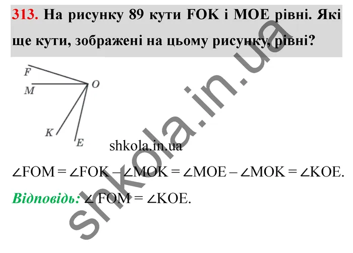 Відповідь до завдання № 313 - ГДЗ Математика 5 клас Мерзляк 2022