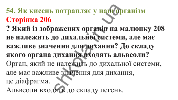 Відповіді до сторінки 206 - ГДЗ Пізнаємо природу 5 клас Біда 2022