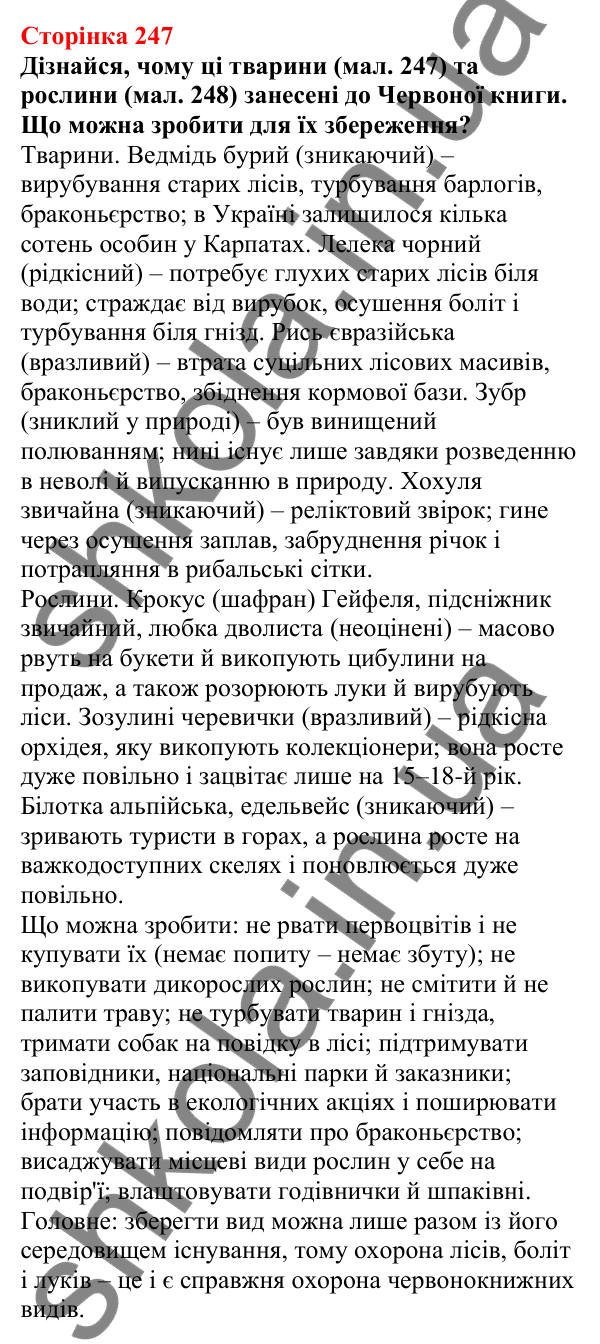 Відповіді до сторінки 247 - ГДЗ Пізнаємо природу 5 клас Біда 2022