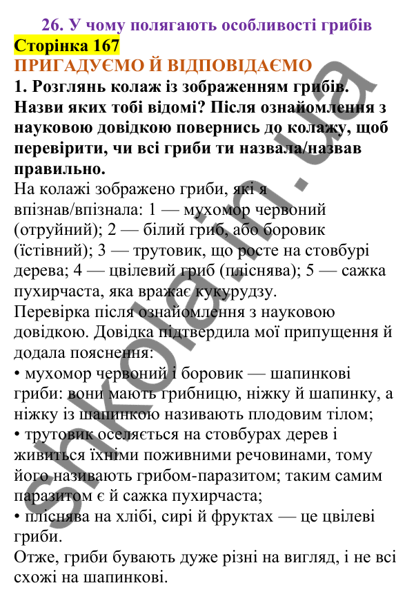 Відповіді до сторінки 167 - ГДЗ Пізнаємо природу 5 клас Коршевнюк 2022