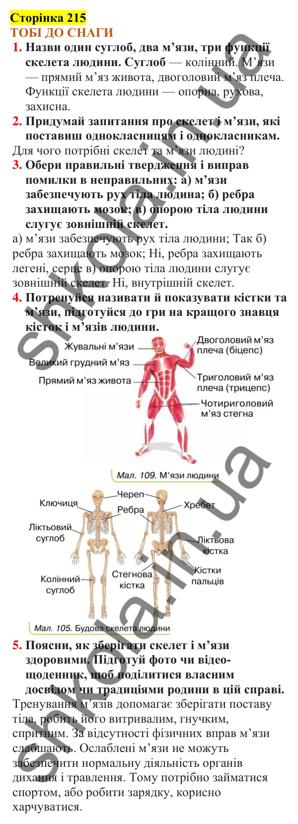 Відповіді до сторінки 215 - ГДЗ Пізнаємо природу 5 клас Коршевнюк 2022