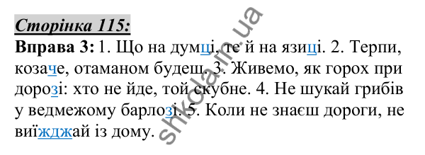 Відповідь до вправи 3, сторінка 115 - ГДЗ Українська мова 5 клас Авраменко 2022