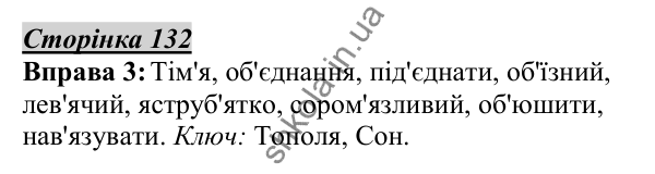 Відповідь до вправи 3, сторінка 132 - ГДЗ Українська мова 5 клас Авраменко 2022