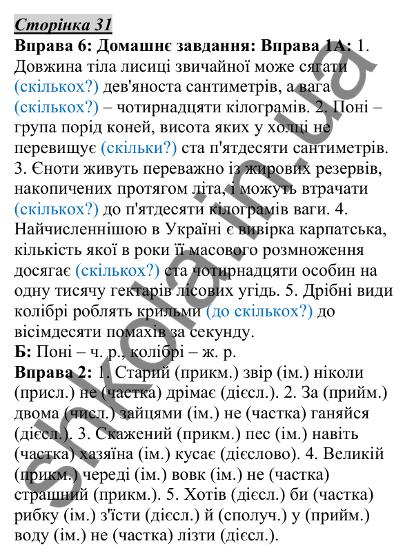 Відповідь до вправи 6, сторінка 31 - ГДЗ Українська мова 5 клас Авраменко 2022