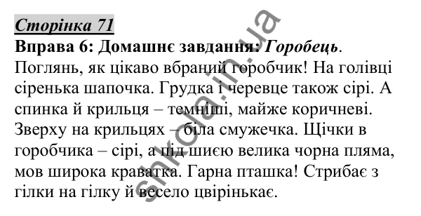 Відповідь до вправи 6, сторінка 71 - ГДЗ Українська мова 5 клас Авраменко 2022