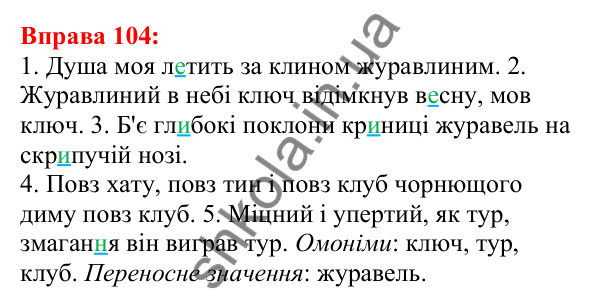 Відповідь до вправи 104 з української мови для 5 класу (Глазова, 2022): Омоніми