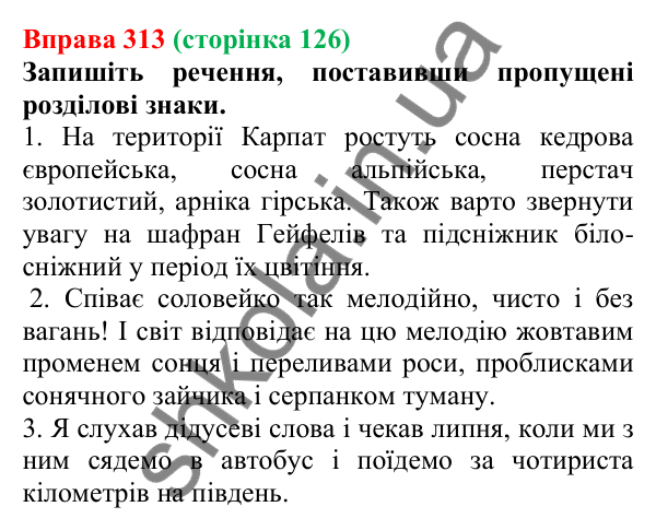 Відповідь до вправи 313, сторінка 126 - ГДЗ Українська мова 5 клас Голуб 2022