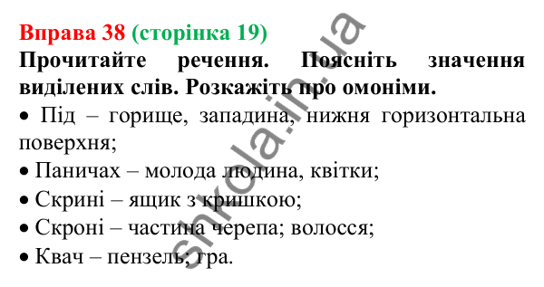 Відповідь до вправи 38, сторінка 19 - ГДЗ Українська мова 5 клас Голуб 2022