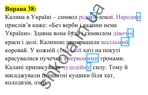 Відповідь до вправи 38, сторінка 29 - ГДЗ Українська мова 5 клас Ворон 2022