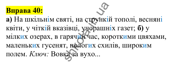 Відповідь до вправи 40, сторінка 30 - ГДЗ Українська мова 5 клас Ворон 2022