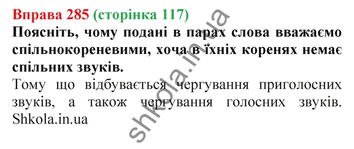 Відповідь до вправи № 285 - ГДЗ Українська мова 5 клас Заболотний 2022