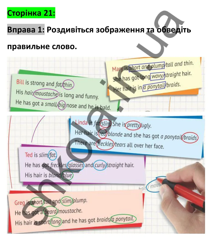 Відповідь до вправи 1, сторінка 21 - ГДЗ Робочий зошит Англійська мова 6 клас Карпюк 2023