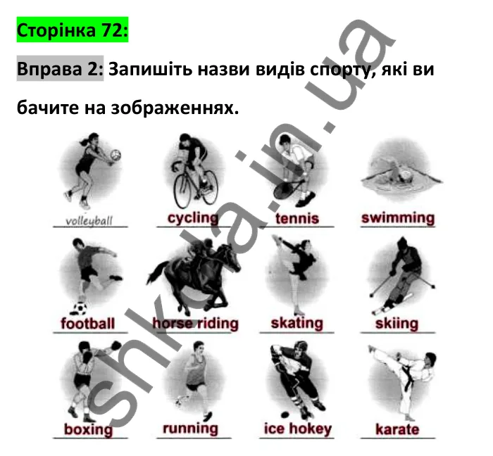 Відповідь до вправи 2, сторінка 72 - ГДЗ Робочий зошит Англійська мова 6 клас Карпюк 2023