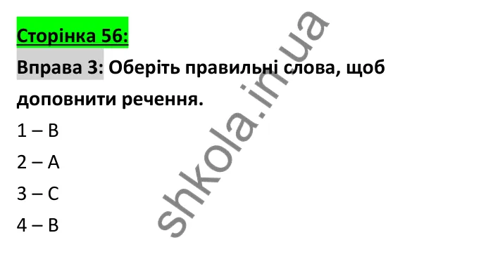 Відповідь до вправи 3 (словник), сторінка 56 - ГДЗ Робочий зошит Англійська мова 6 клас Коста (Куки) 2023