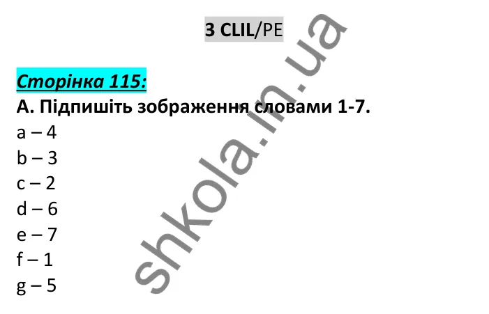 Відповідь до завдання A, сторінка 115 - ГДЗ Англійська мова 6 клас Мітчелл 2023