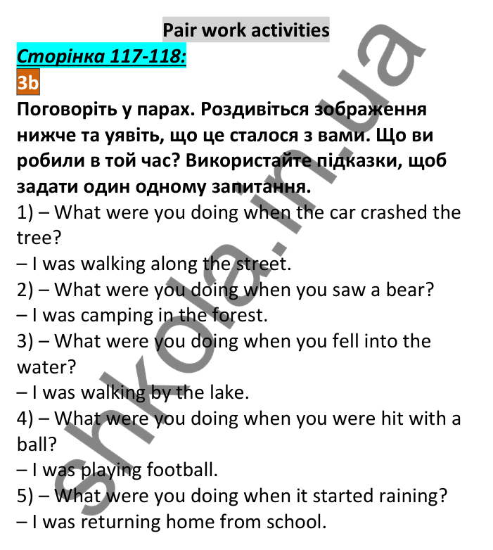 Відповідь до рубрики Pair work activities 3b, сторінка 117-118 - ГДЗ Англійська мова 6 клас Мітчелл 2023