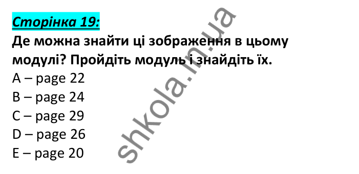 Відповідь до вступної сторінки модуля 2, сторінка 19 - ГДЗ Англійська мова 6 клас Мітчелл 2023