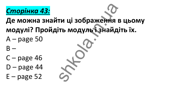 Відповідь до вступної сторінки модуля 4, сторінка 43 - ГДЗ Англійська мова 6 клас Мітчелл 2023