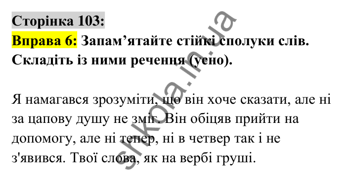 Відповідь до вправи 6 сторінка 103 ГДЗ Українська мова 6 клас Авраменко 2023