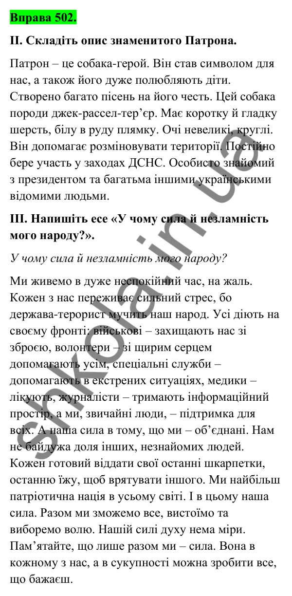 Відповідь до вправи 502 (с. 200) з української мови для 6 класу (Голуб, 2023): Опис. Розповідь. Роздум: повторення вивченого