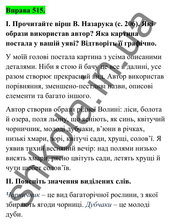 Відповідь до вправи 515 (с. 205) з української мови для 6 класу (Голуб, 2023): Опис у художньому творі