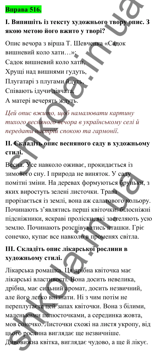 Відповідь до вправи 516 (с. 206) з української мови для 6 класу (Голуб, 2023): Опис у художньому творі