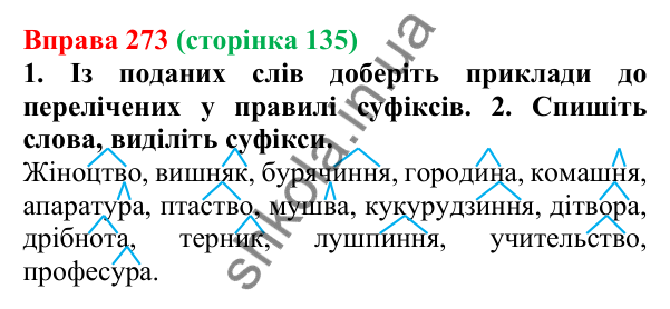 Відповідь до вправи 273 (с. 135) з української мови для 6 класу (Літвінова, 2023): Число іменників