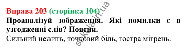 Відповідь до вправи 203 (с. 104) з української мови для 6 класу (Онатій, 2023): Рід іменників. Іменники спільного роду